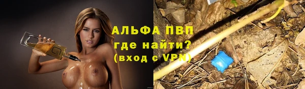 мдпв Каменногорск
