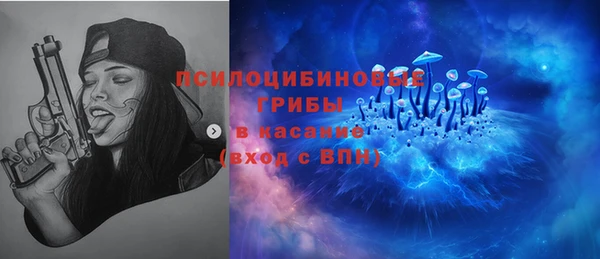 соль ск Инсар