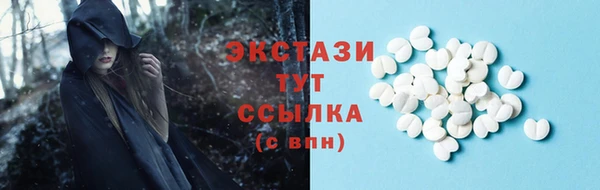 соль ск Инсар