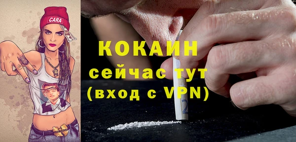 мдпв Каменногорск