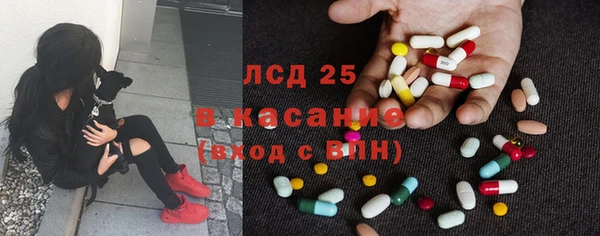 соль ск Инсар
