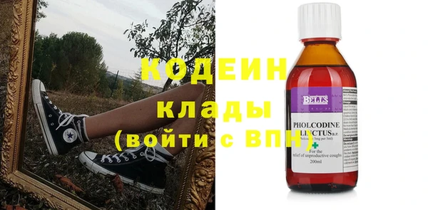 соль ск Инсар